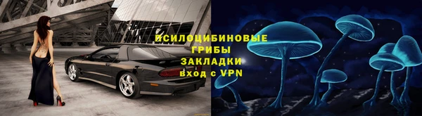 хмурый Бородино