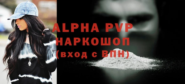 хмурый Бородино