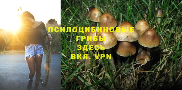 хмурый Бородино