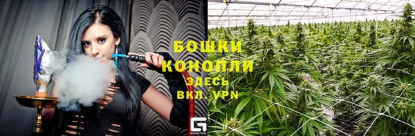 стафф Бронницы