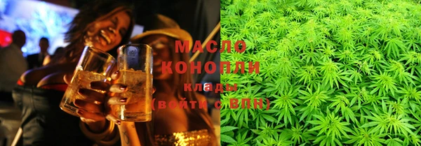 хмурый Бородино