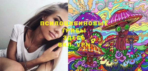 хмурый Бородино