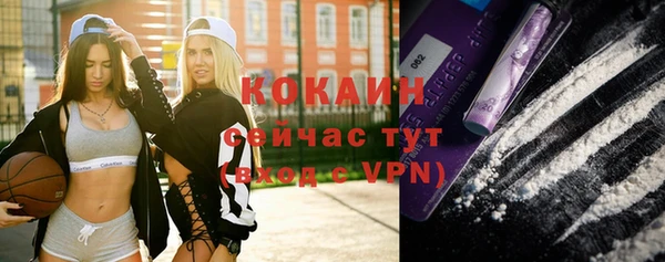 хмурый Бородино