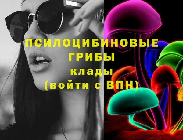 стафф Бронницы