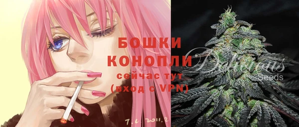хмурый Бородино
